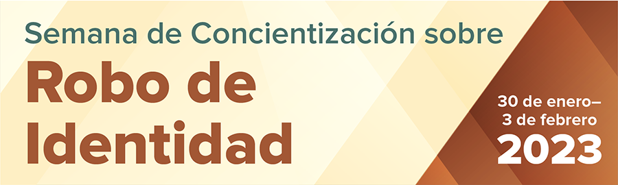 IDT Banner de página