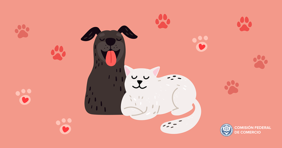 PNG of dog and cat